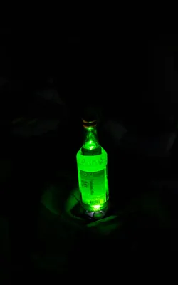 20250829-DSC_0280-Улучшено-Ум. шума.jpg